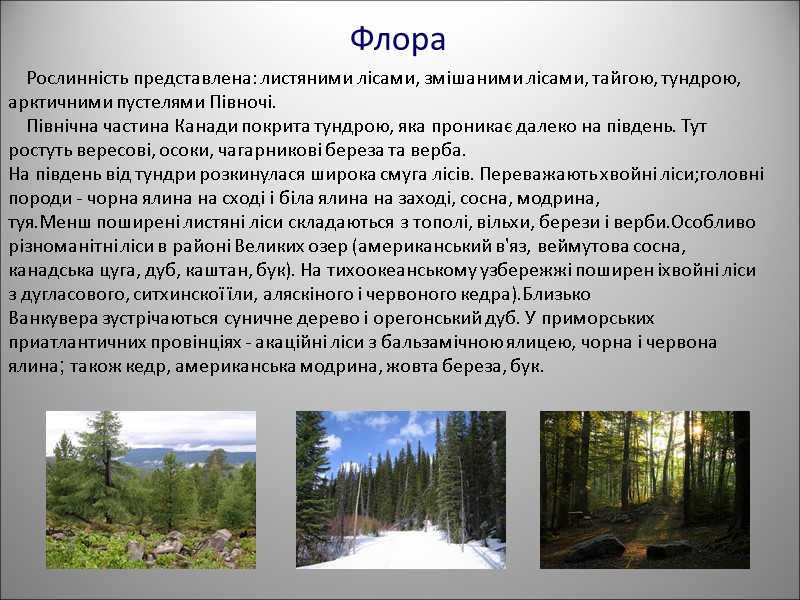 Флора     Рослинність представлена: листяними лісами, змішаними лісами, тайгою, тундрою, арктичними